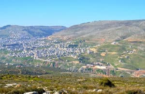 The Prince and the Precedent: Genesis 34 in its Socio-Legal Context