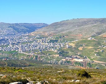 The Prince and the Precedent: Genesis 34 in its Socio-Legal Context