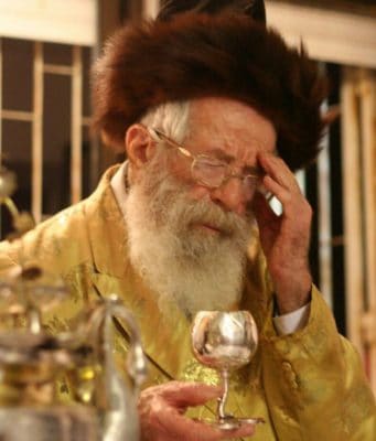 An Academic-Hasidic Love of Torah