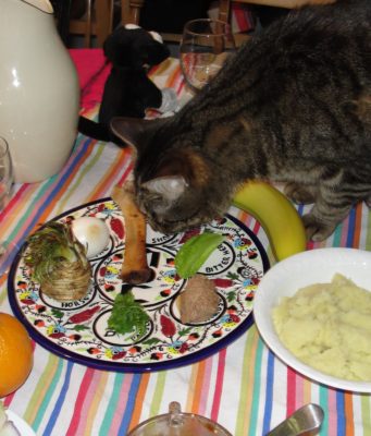 Schrodinger’s Hametz