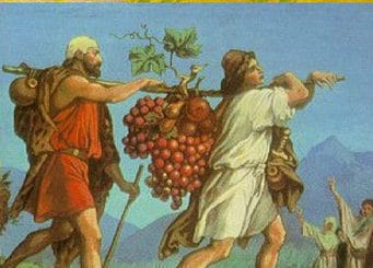 Grief, Gratitude and … Grapes? Tears on Tishah Be-Av as Tools of Tikun and Thanksgiving