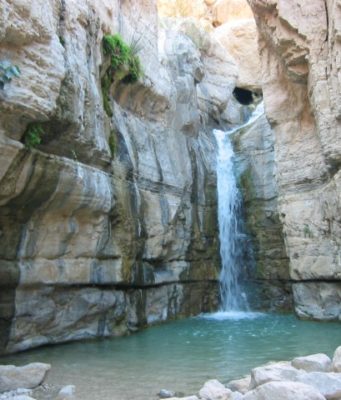 The Waters of Consolation: Rabban Yohanan ben Zakkai and His Students