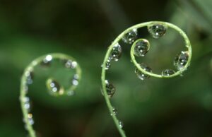 Climate Change and Prayers for Rain and Dew