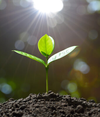 Shavuot: The Wakeup Call