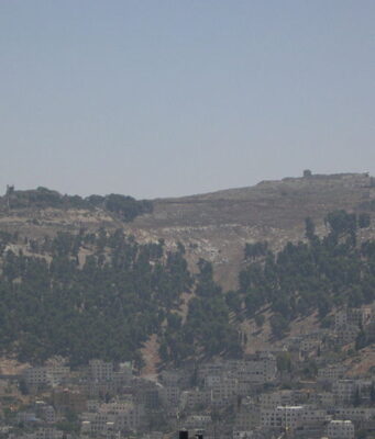 Parshat Ki Tavo: The Curse of the Law