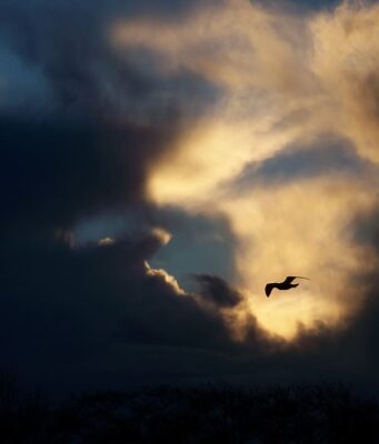 “I Would Soar to the Sphere of Heaven”: Aleph and “I” in a Tishah be-Av Lament