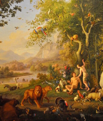 What Does God Want from Humanity? A New Perspective on the Creation Chapters