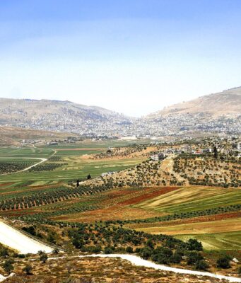 Shechem, Place Of Brit