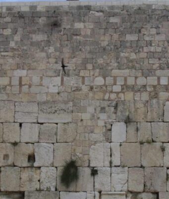 Shavat Suru: The First Kinah, Matter and Form