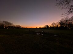 נמשלת ללבנה