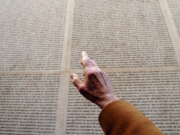Who Shoulders the Cost of Saving Lives? Reappraising a Teshuvah of Rav Moshe Feinstein
