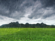 Successfully Unsuccessful: The Paradox of Modern Orthodoxy