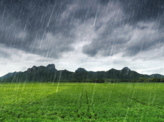 Successfully Unsuccessful: The Paradox of Modern Orthodoxy