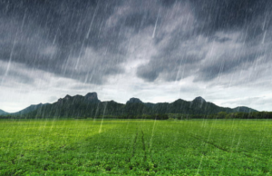 Successfully Unsuccessful: The Paradox of Modern Orthodoxy