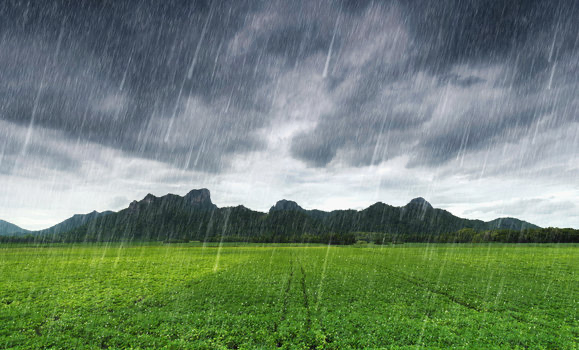 Successfully Unsuccessful: The Paradox of Modern Orthodoxy