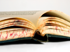 ‘Knocking on Open Doors’ – Intuition and Experience in the Legal Thought of Rav Shimon Shkop